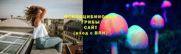 СК Вязьма