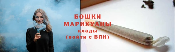 индика Волоколамск