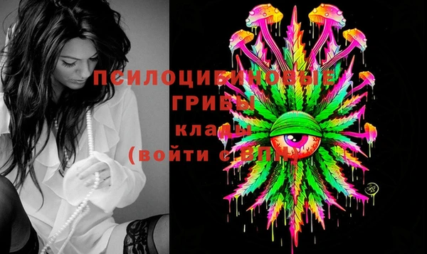 первитин Вяземский