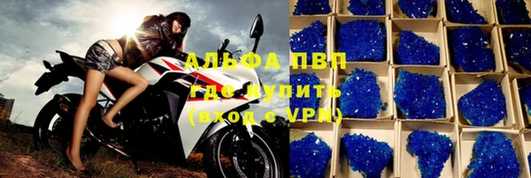 СК Вязьма