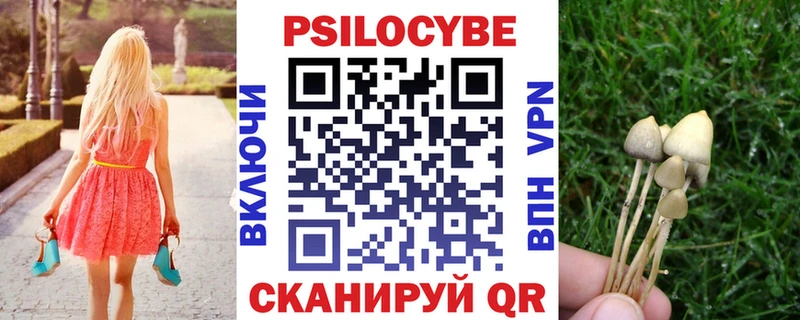 Псилоцибиновые грибы Cubensis  дарк нет как зайти  Нея  где найти  