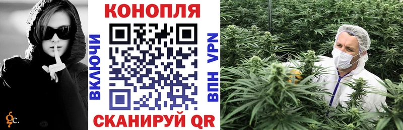Конопля сатива  Нея 