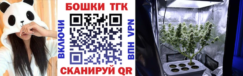 Бошки Шишки ГИДРОПОН Нея